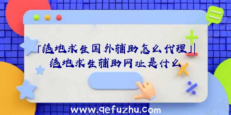 「绝地求生国外辅助怎么代理」|绝地求生辅助网址是什么